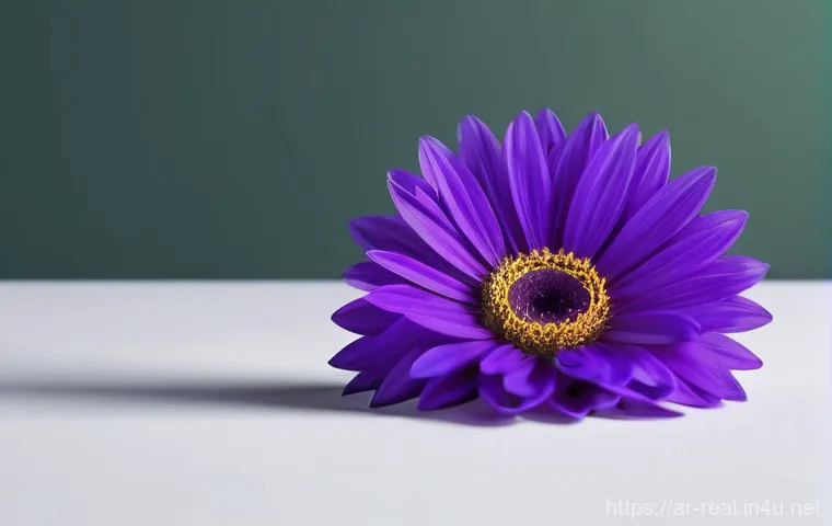 공인중개사 시험 성공을 위한 최신 기법 공유 관련 이미지 1